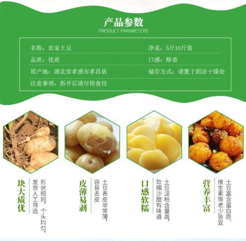 小土豆新鲜5斤10斤马铃薯农产品蔬菜迷你小黄心土豆