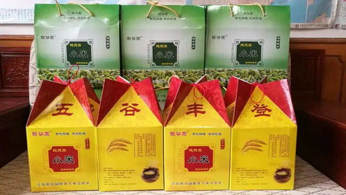 胶味领鲜 火了 胶州这些品牌 产品一定要知道
