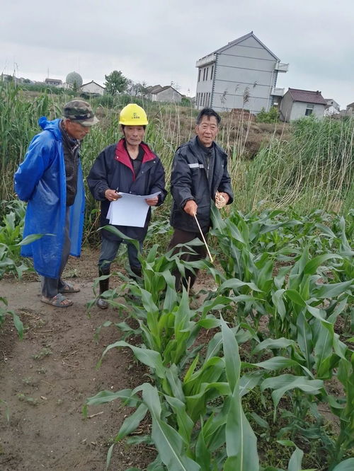 所有近海人, 党建品牌pk大赛 第一期投票评选活动开始啦