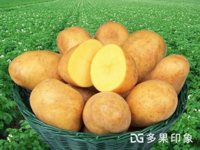 榆林馆 优质特色农产品品牌