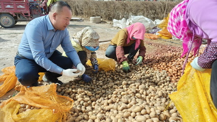 【劳模工匠助企行】 小小田地 大有作为--高台县奇峰马铃薯农民专业合作社负责人许国健