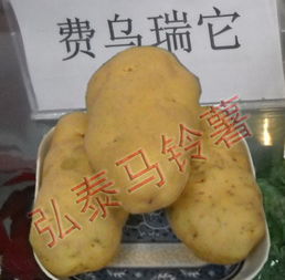 陇西县弘泰马铃薯购销专业合作社发布的所有供应产品列表 供应产品 e路网