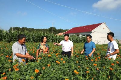 植根攻坚热土 奉献扶贫真情--记长岭县大兴镇永胜村驻村第一书记赵玉明