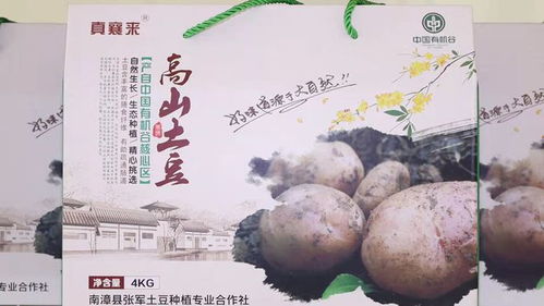 不负农时 板桥镇1.2万亩土豆抢时播种