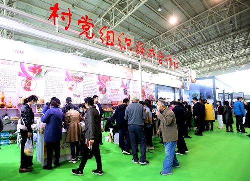 名优农产惊艳味蕾 乡村振兴硕果累累品 威海 农产 无花果 云阳 网易订阅
