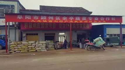 网络惊现阜阳综合实力十强乡镇,快看看有没有你家乡?
