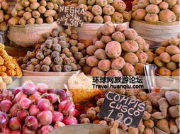 秘鲁国宝级特产 马铃薯合作社，年轻人为土豆痴迷的背后