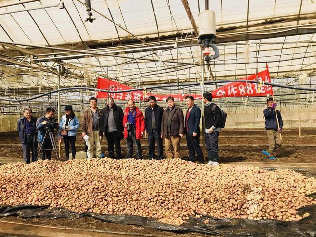 马铃薯精简化繁种与脱毒种薯技术革新 合作社的实践与前景